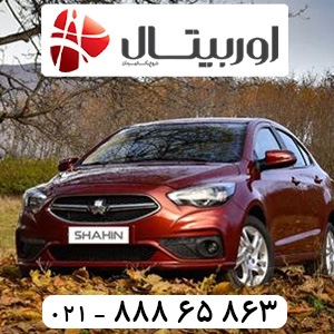 شاهین