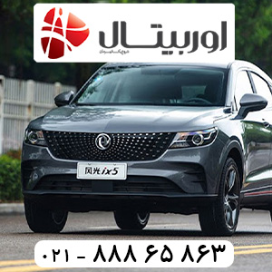 دیگنینی